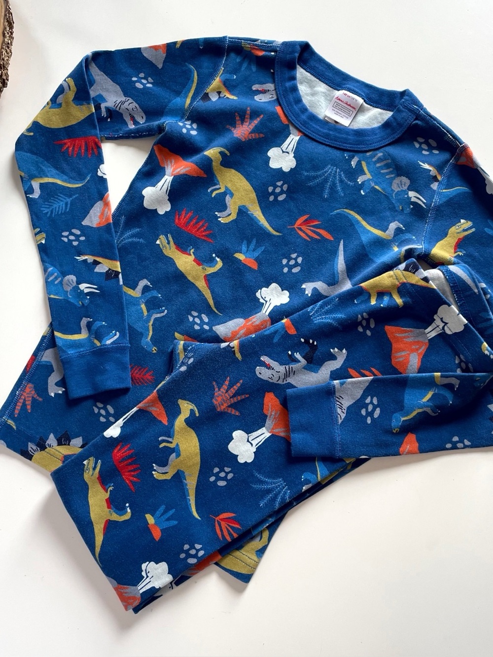 Hanna Andersson Organic Blue Dinosaur Pajama Set | Size 10